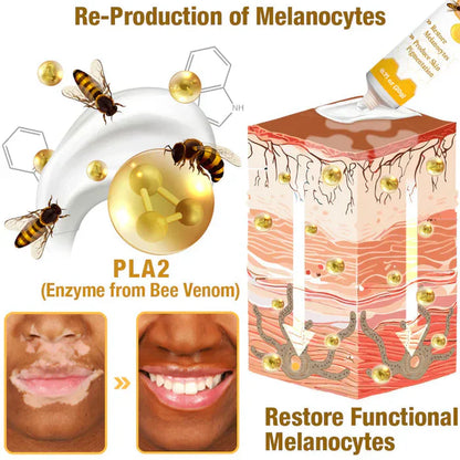 Revitalizing Bee Venom Cream – Natural Skin Restoration & Vitality (Buy 1 Get 1 Free🔥)